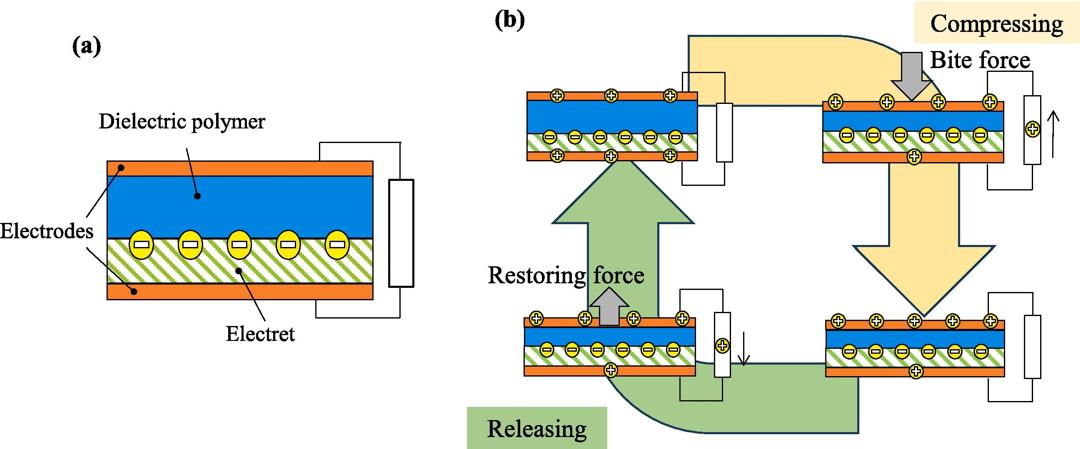 WhatsApp Image 2025-11-02 at 8.22.01 PM